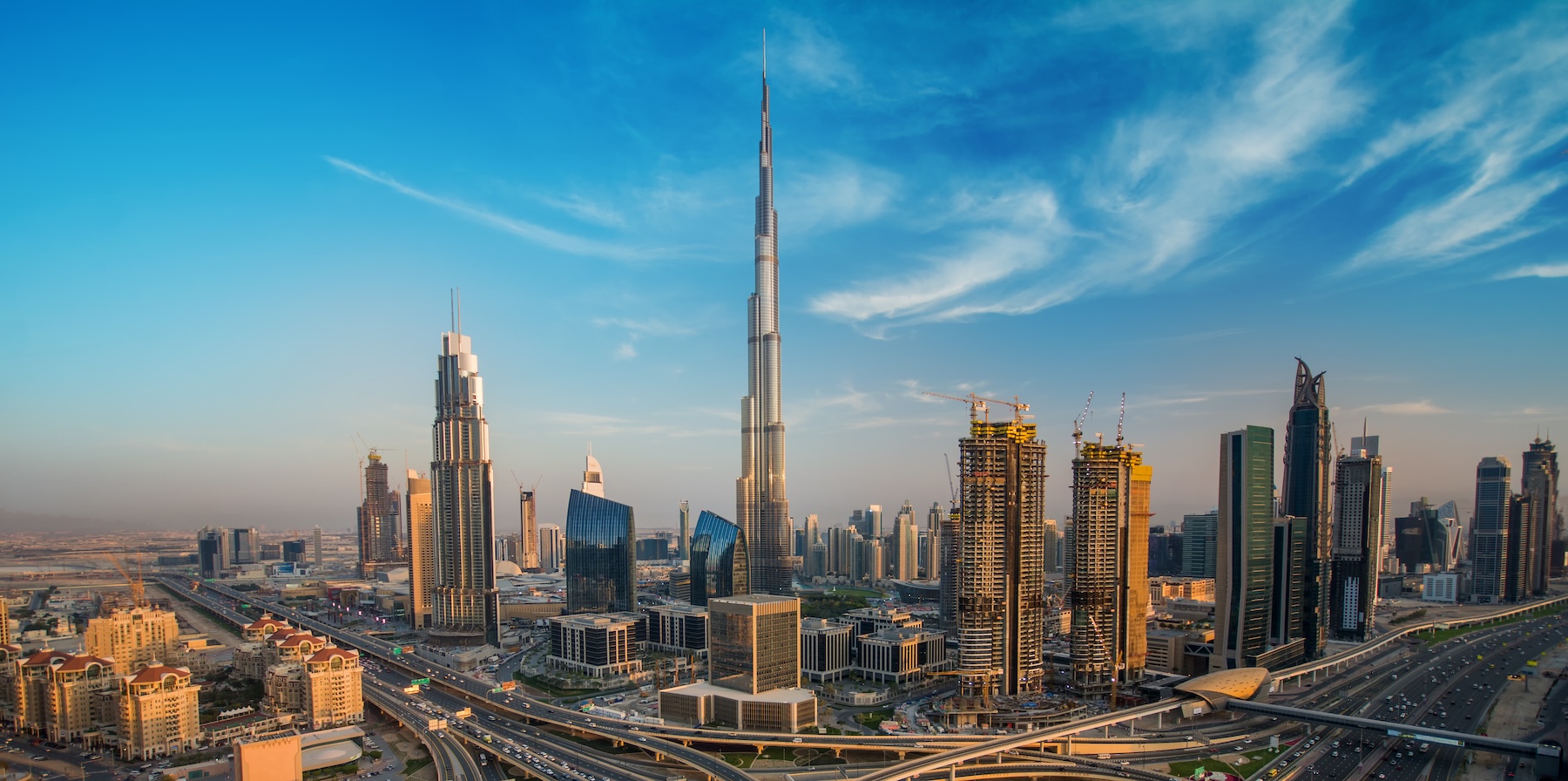 Global business leadership and international reach